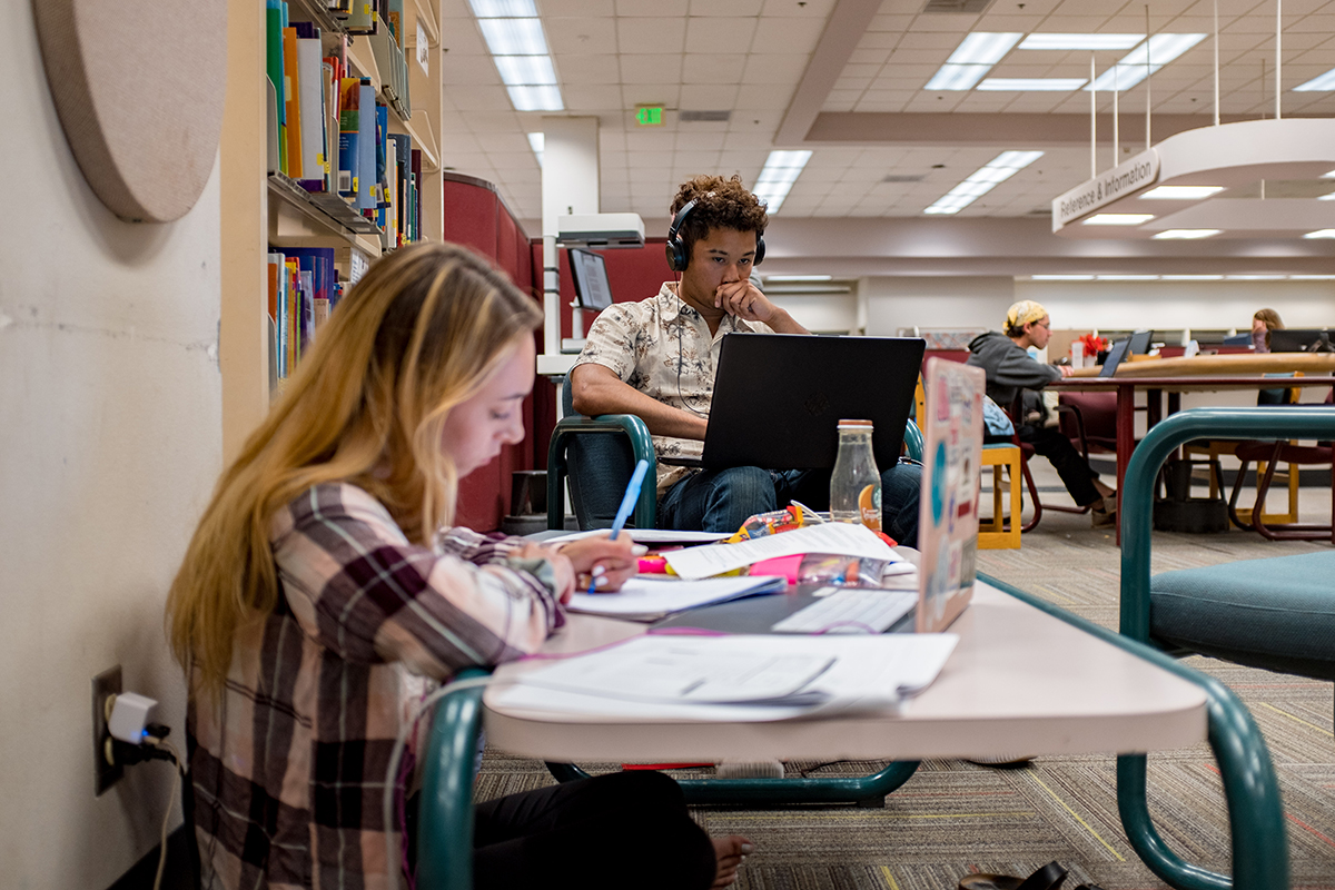 Students in Library